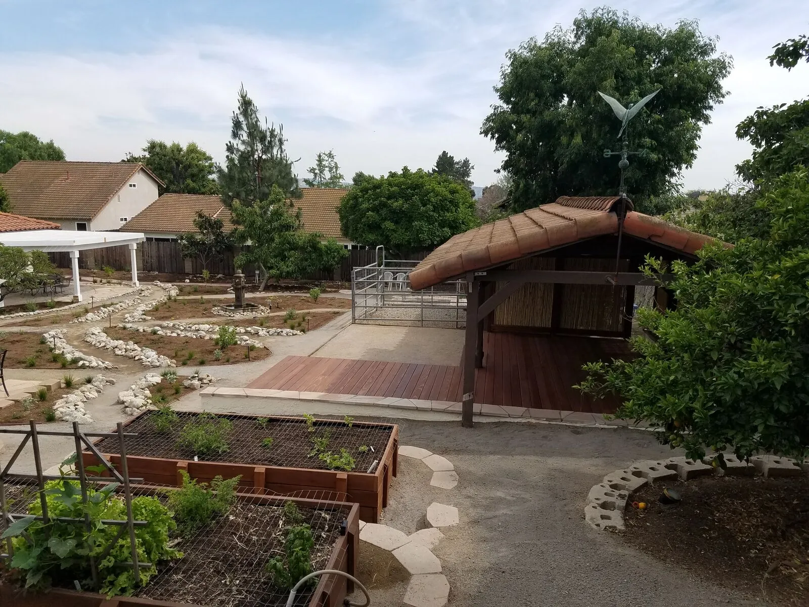 Custom cedar raised bed vegetable garden with wire mesh protection