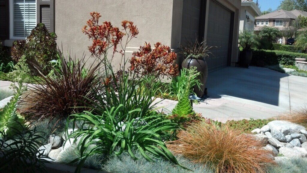 Expert horticulturalist selecting plants